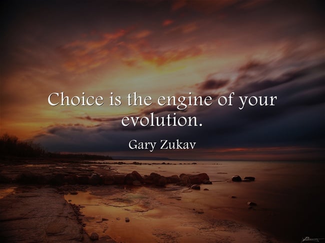Gary Zukav-Choice